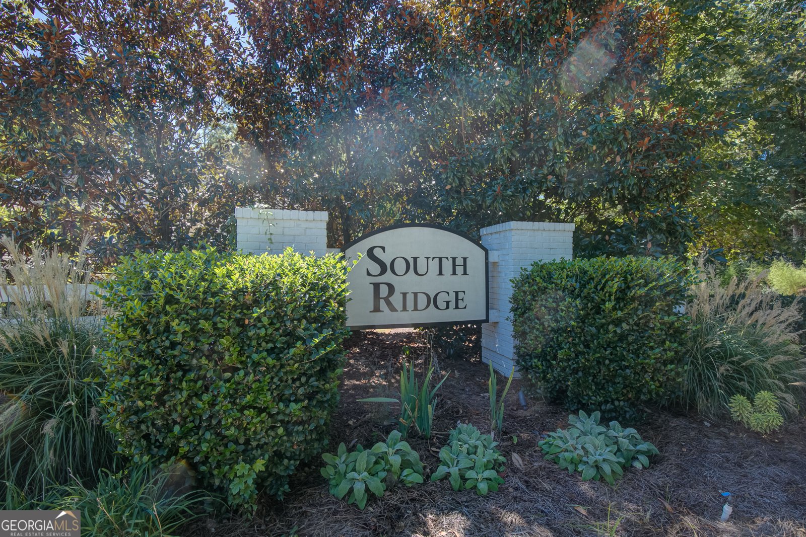 320 Southridge Senoia - Photo 53