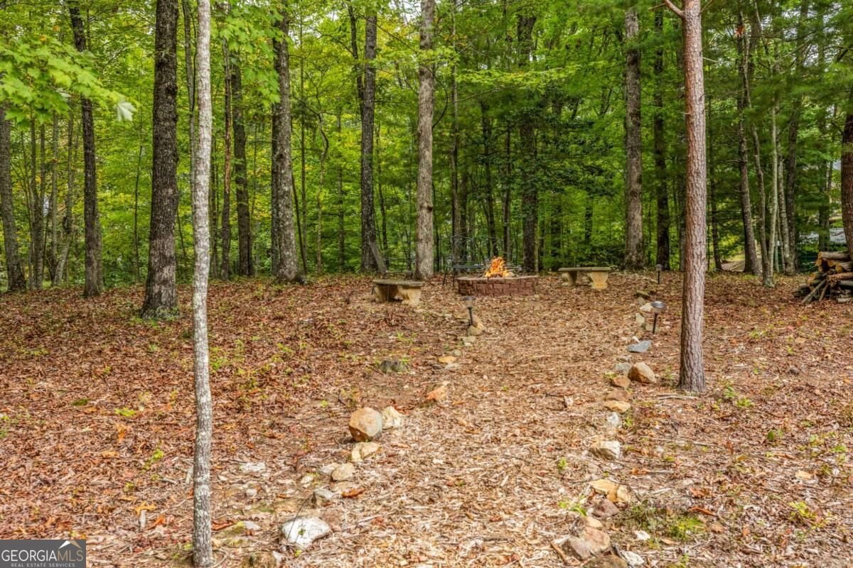 200 Plantation Lane Blue Ridge - Photo 68