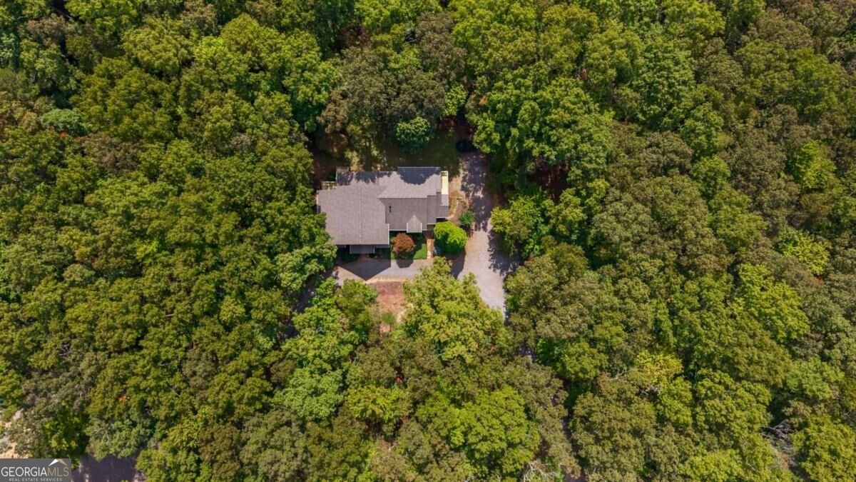 200 Plantation Lane Blue Ridge - Photo 73