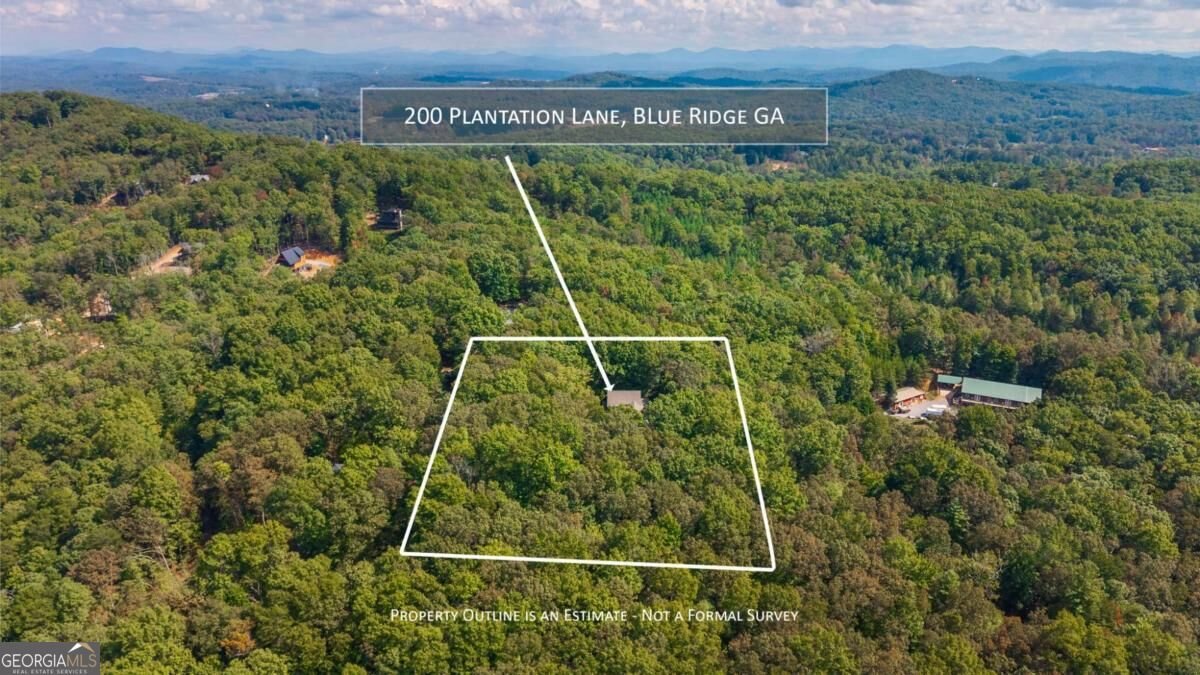 200 Plantation Lane Blue Ridge - Photo 74