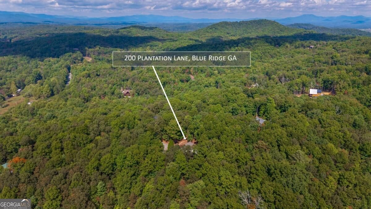 200 Plantation Lane Blue Ridge - Photo 75