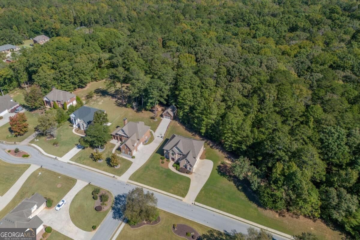 2101 Autumn Chase Drive Stockbridge - Photo 44