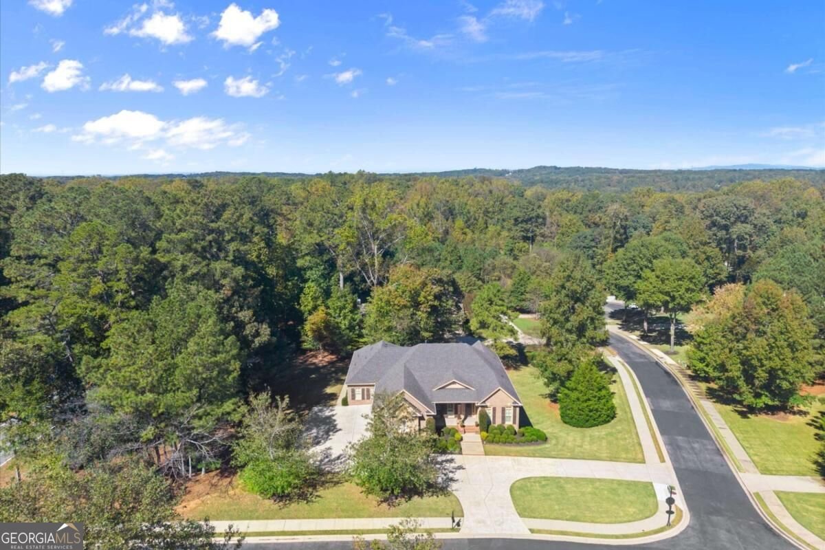 900 Canonero Drive Milton - Photo 87