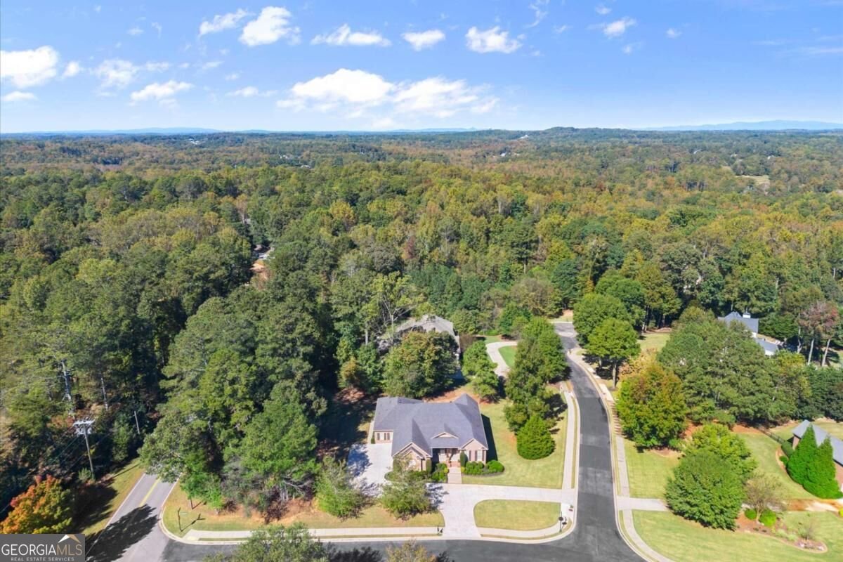 900 Canonero Drive Milton - Photo 88