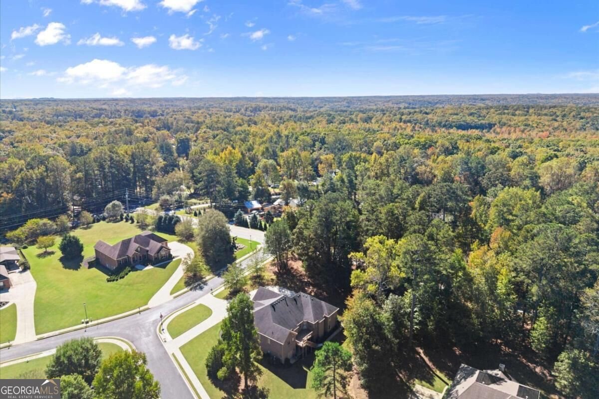 900 Canonero Drive Milton - Photo 89