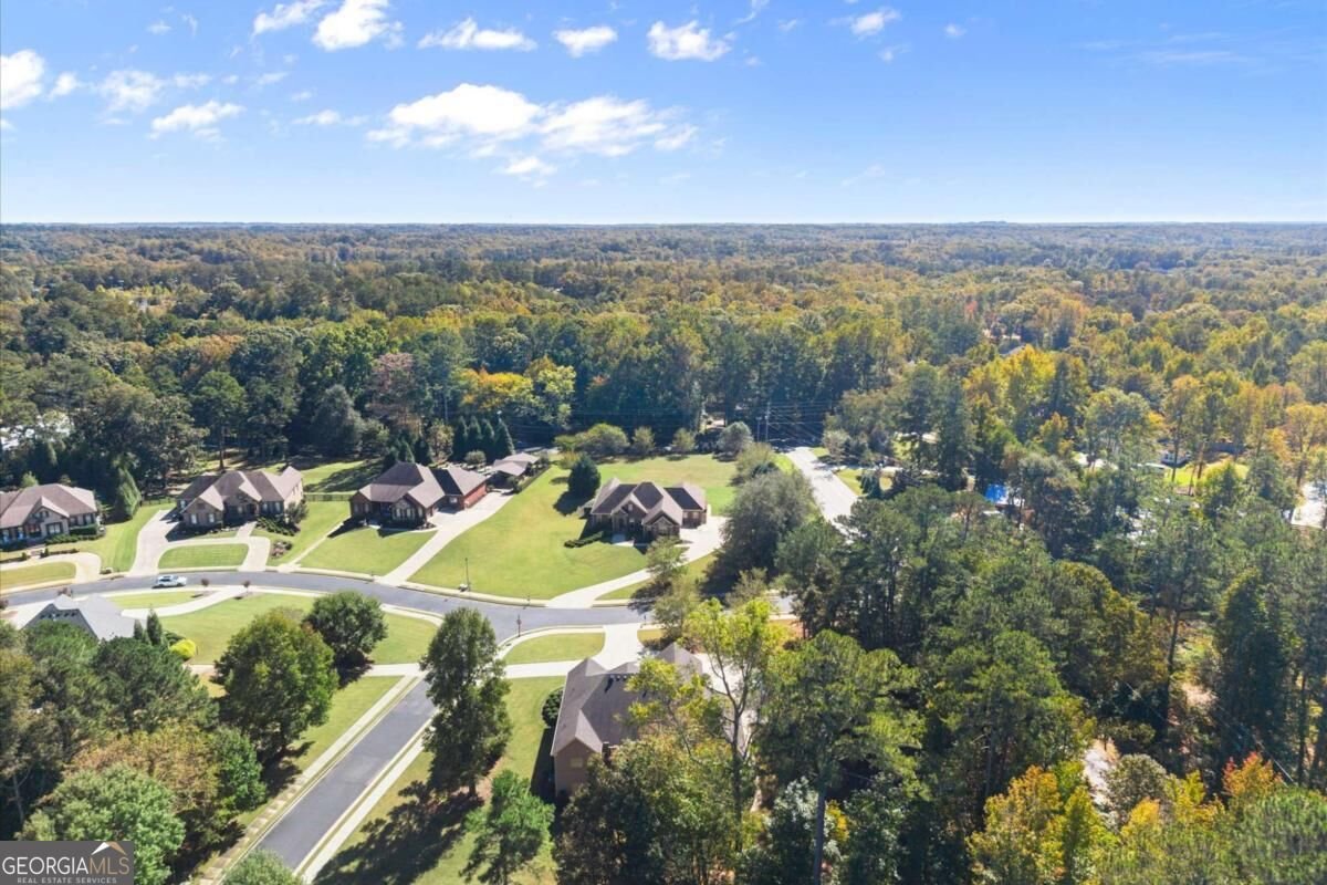 900 Canonero Drive Milton - Photo 90