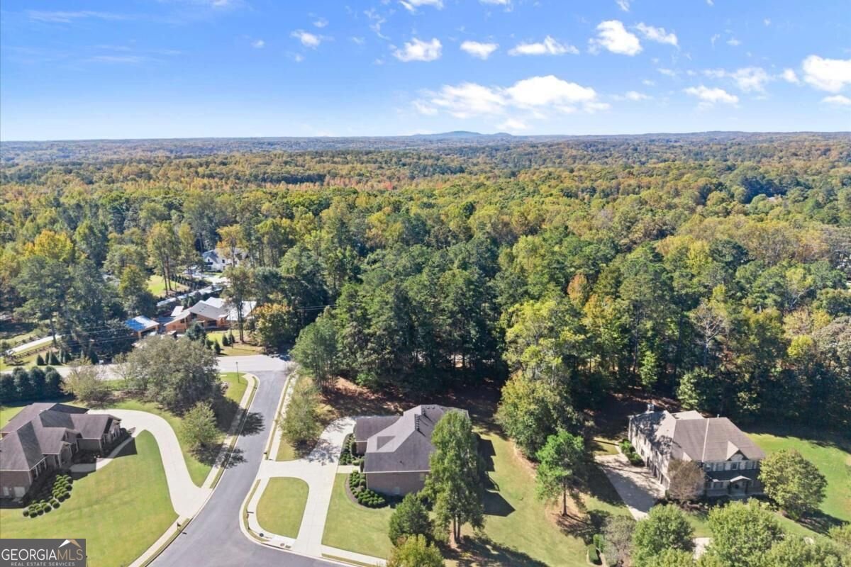 900 Canonero Drive Milton - Photo 92