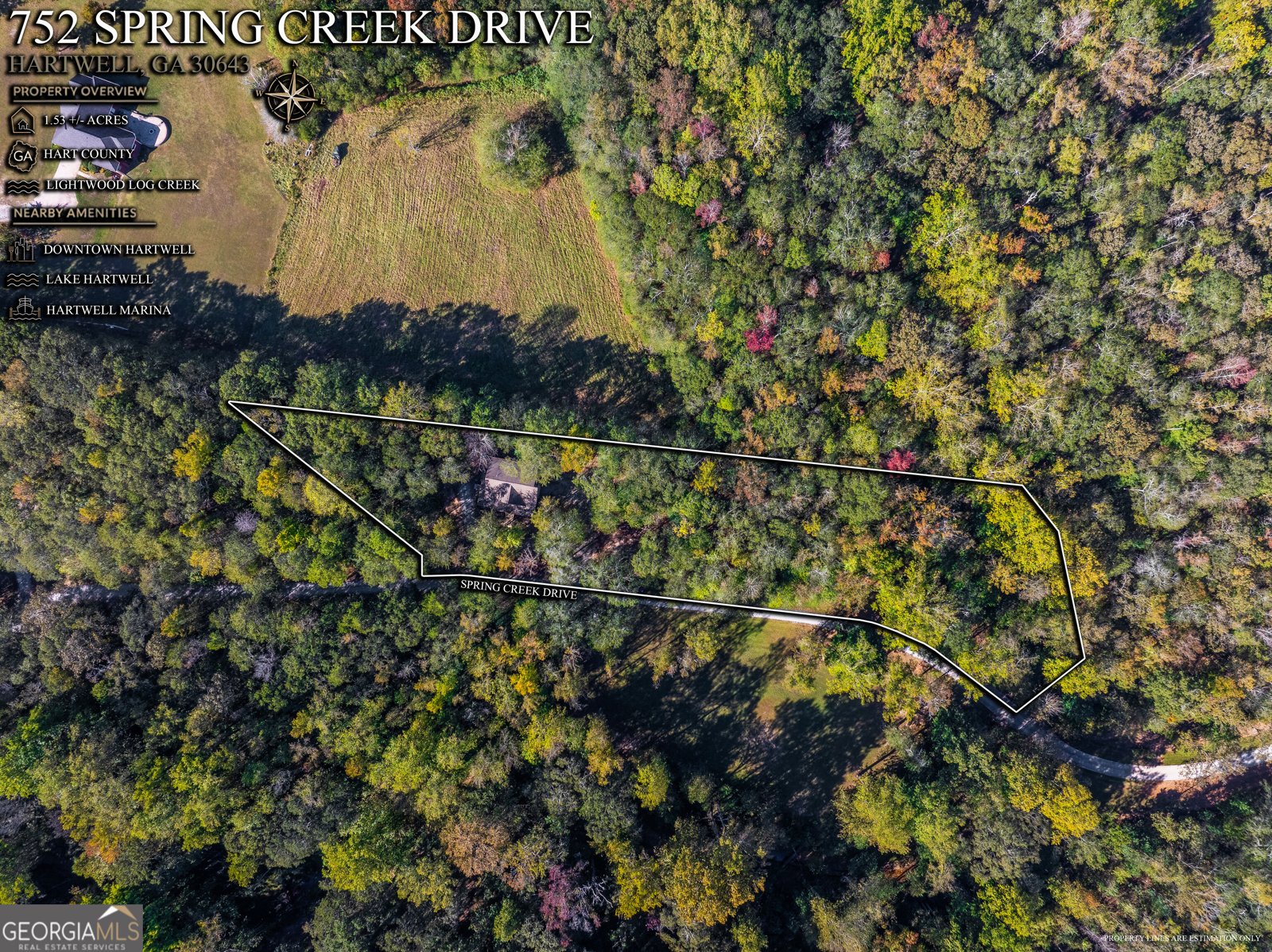 752 Spring Creek Drive Bowersville - Photo 37