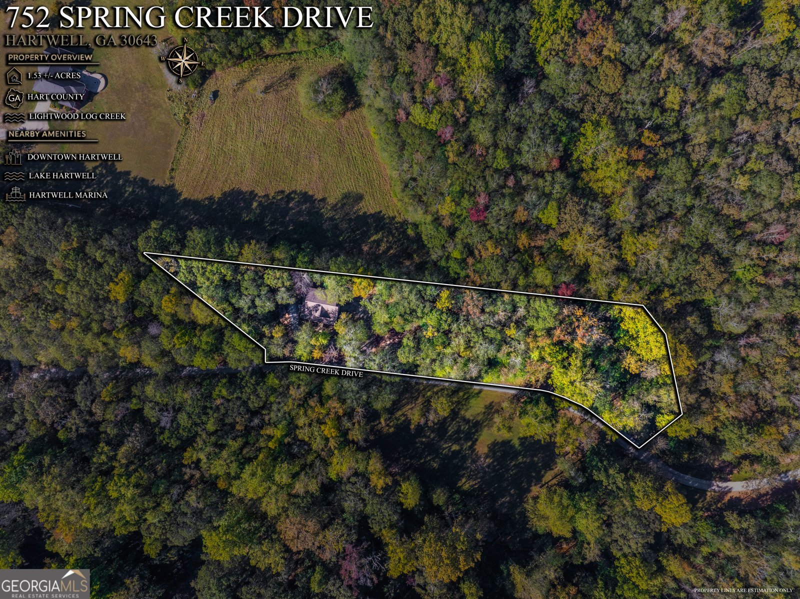 752 Spring Creek Drive Bowersville - Photo 42