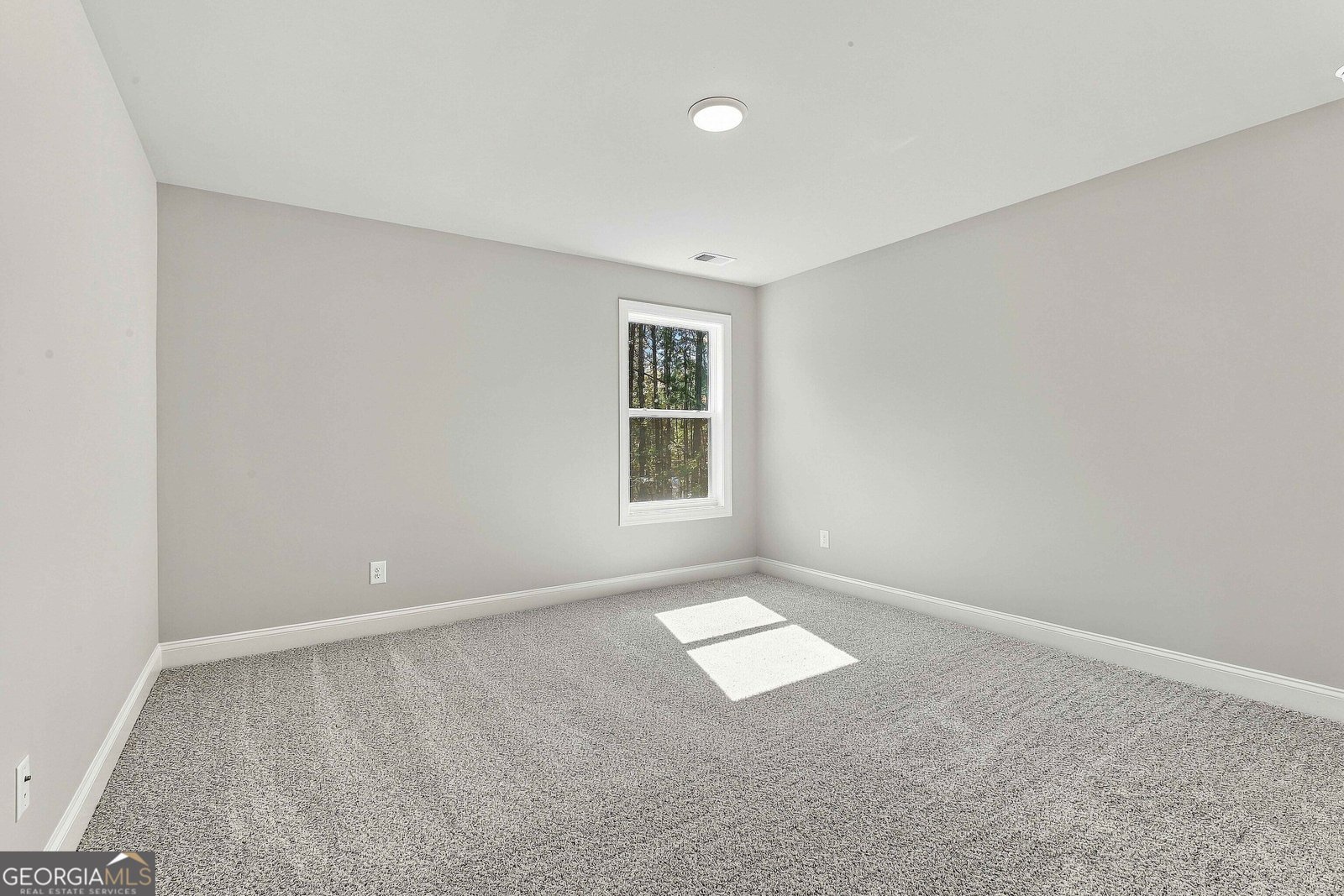 LOT 62 Sumner Way Senoia - Photo 36