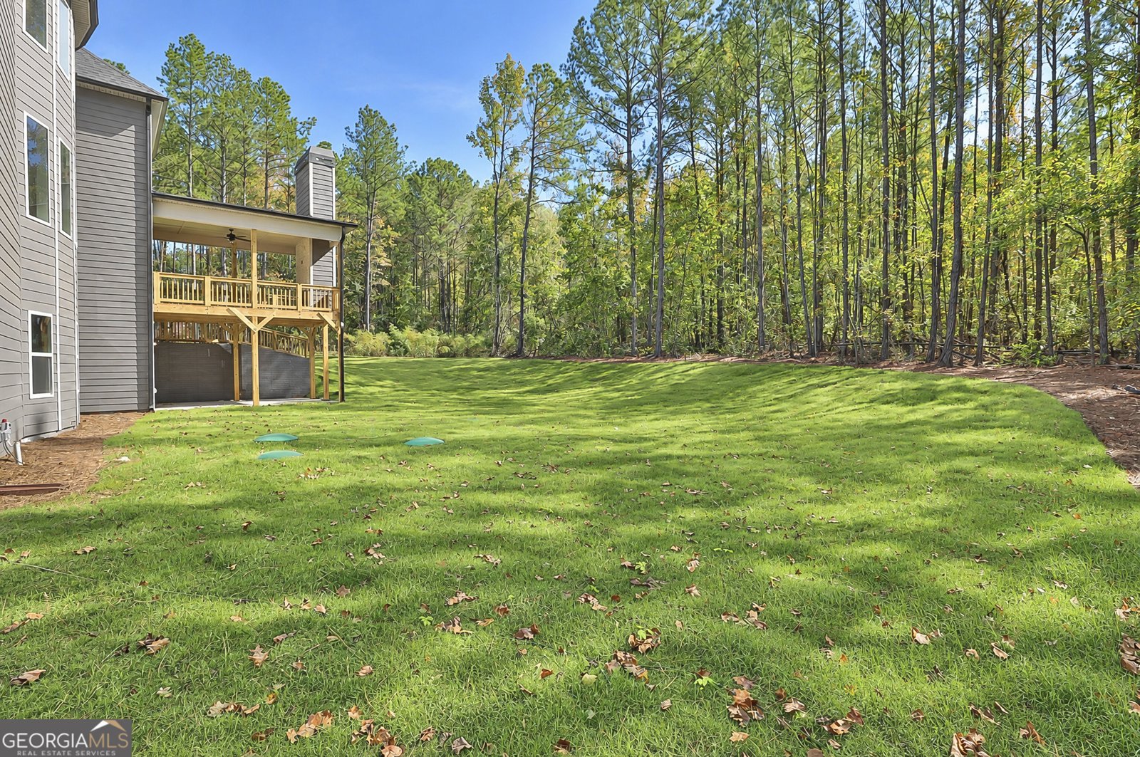 LOT 62 Sumner Way Senoia - Photo 50