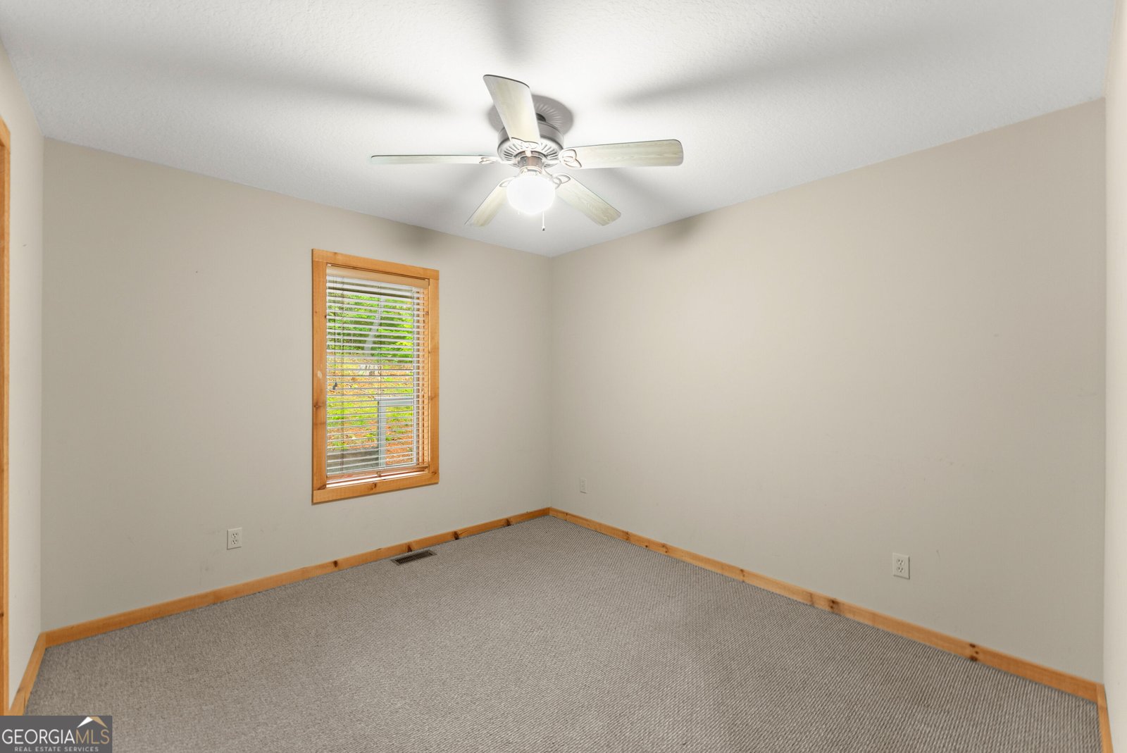621 Hester Gap Road Cleveland - Photo 21