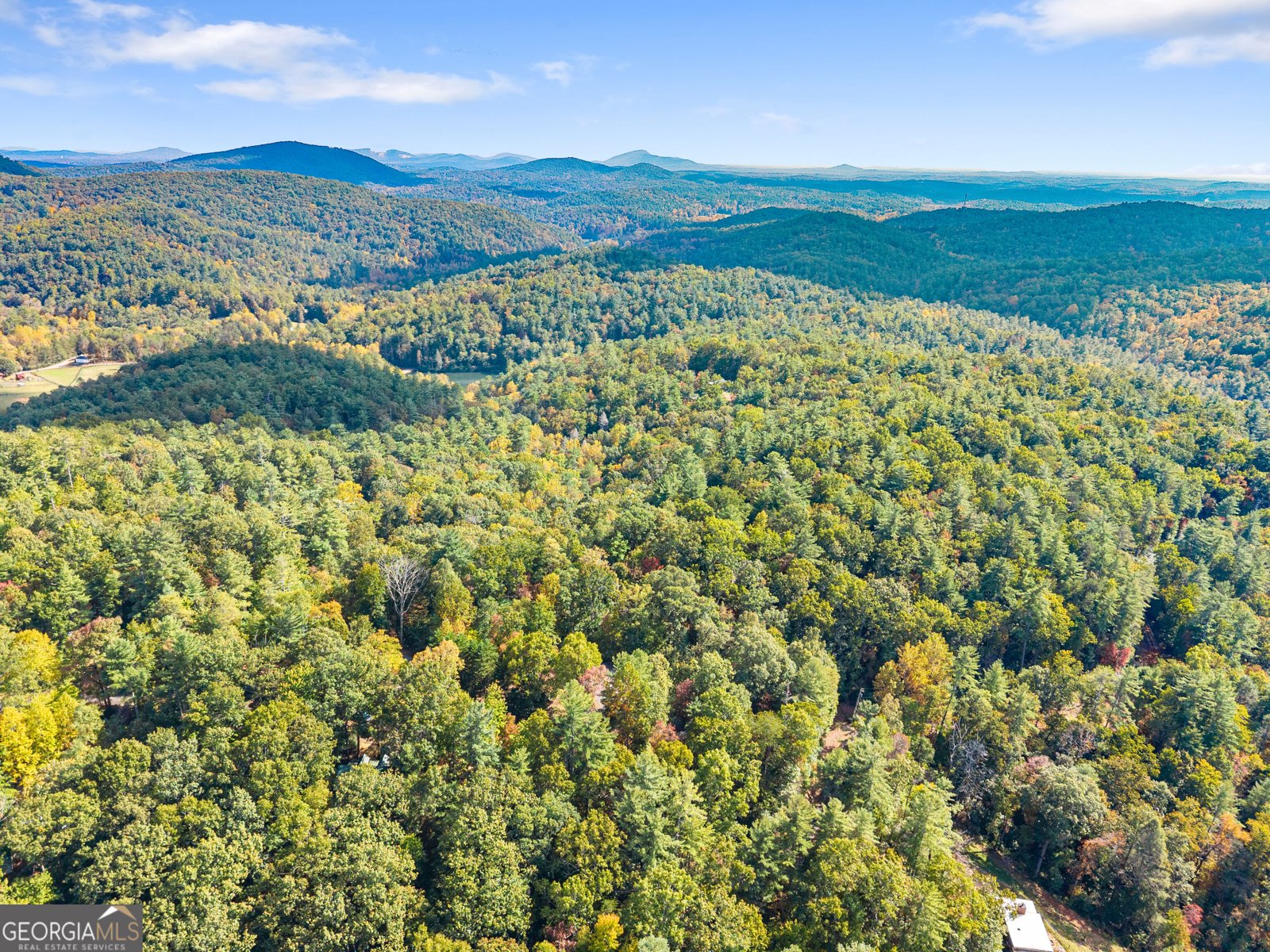621 Hester Gap Road Cleveland - Photo 50
