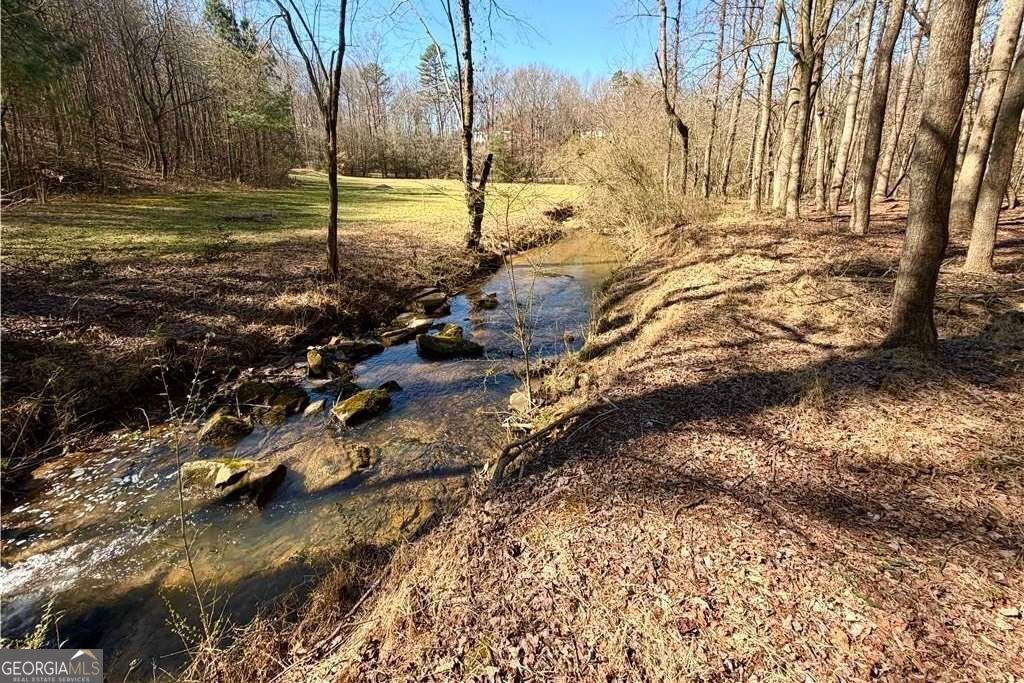 522 Bible Baptist Road Ellijay - Photo 29