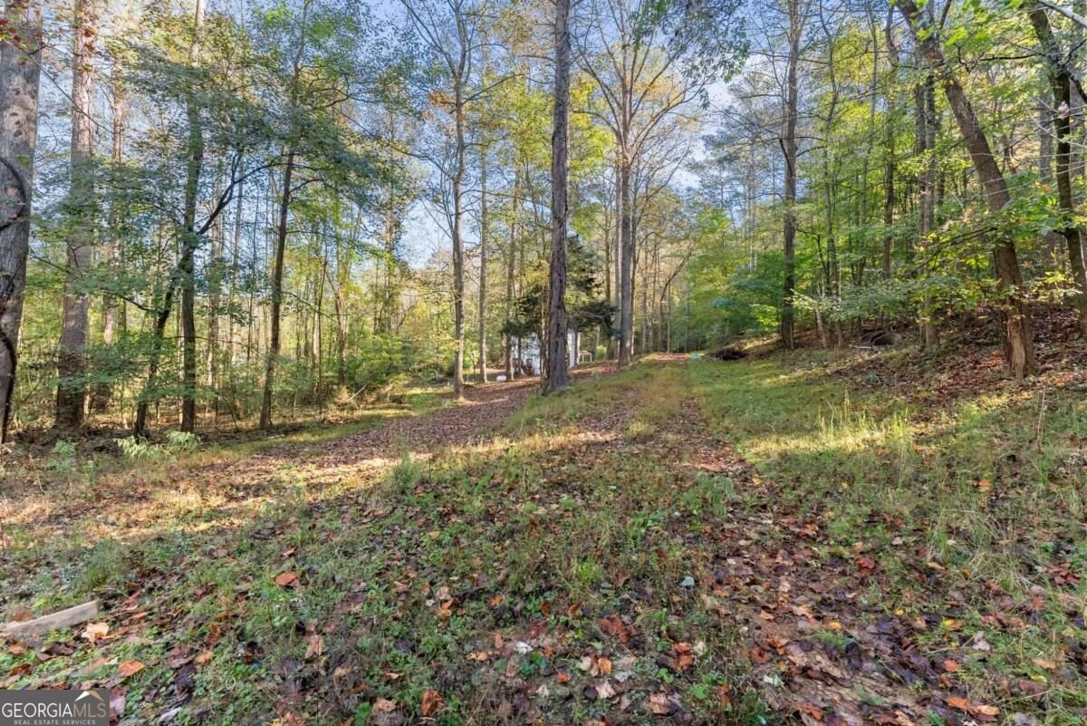 522 Bible Baptist Road Ellijay - Photo 36