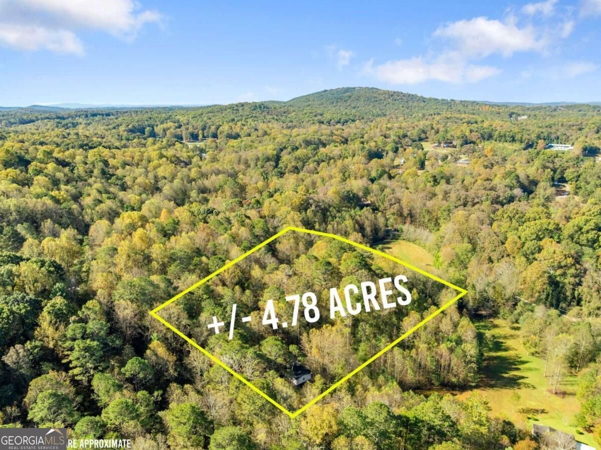 522 Bible Baptist Road Ellijay - Photo 37