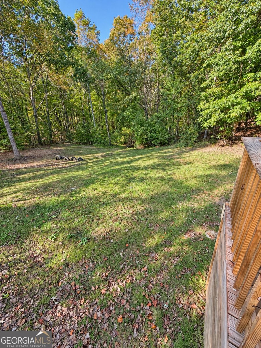 728 Felton Rockmart Road Buchanan - Photo 18