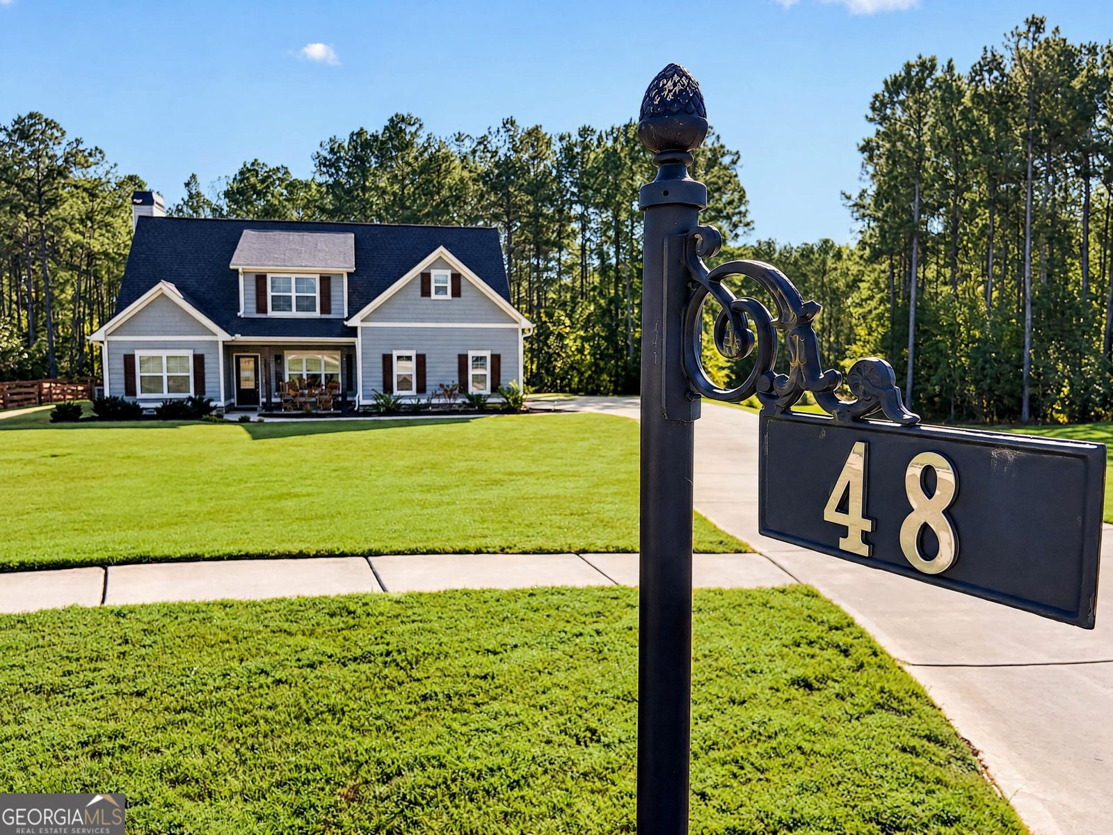 48 Springdale Court Senoia - main photo