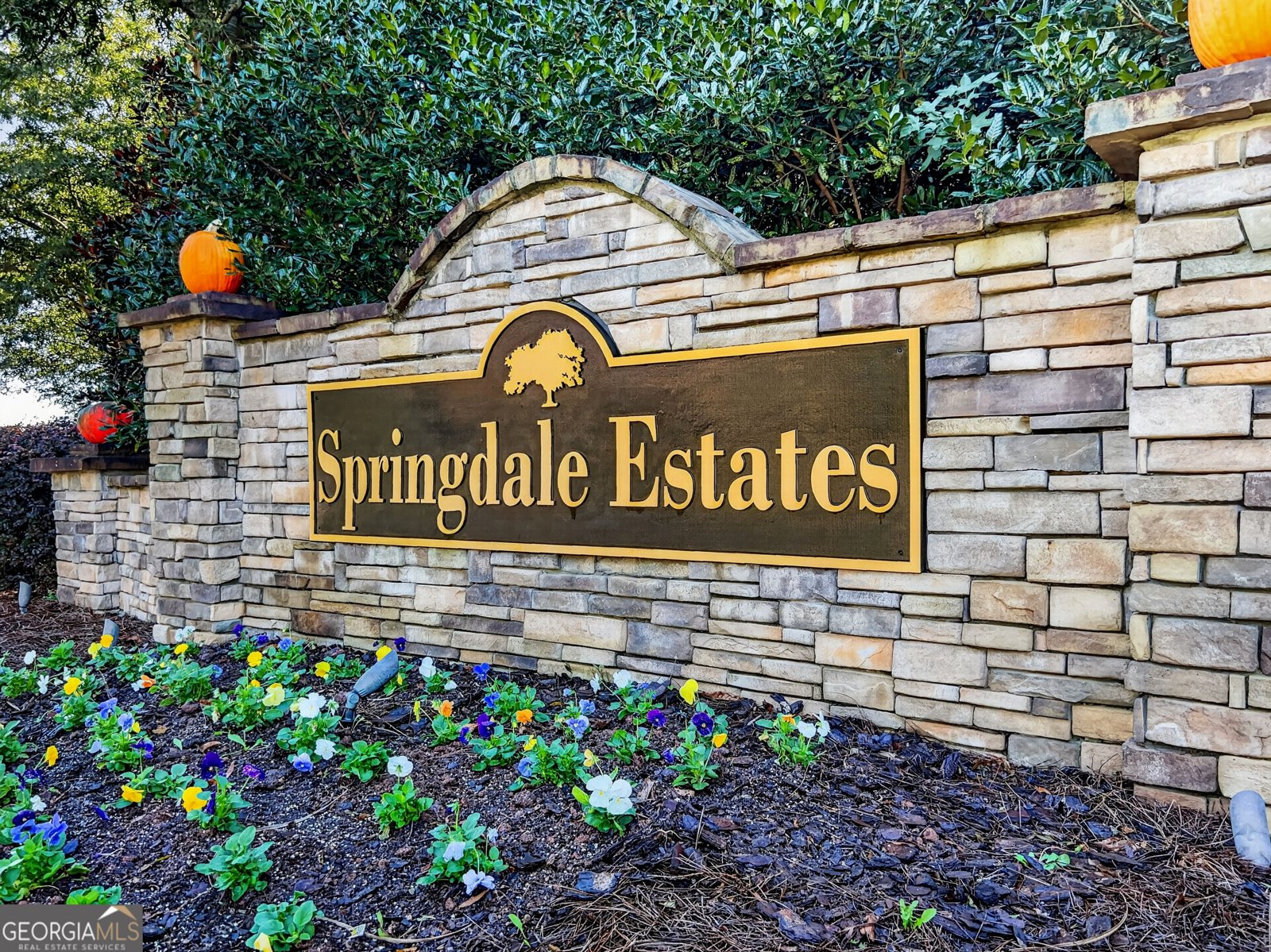 48 Springdale Court Senoia - Photo 47
