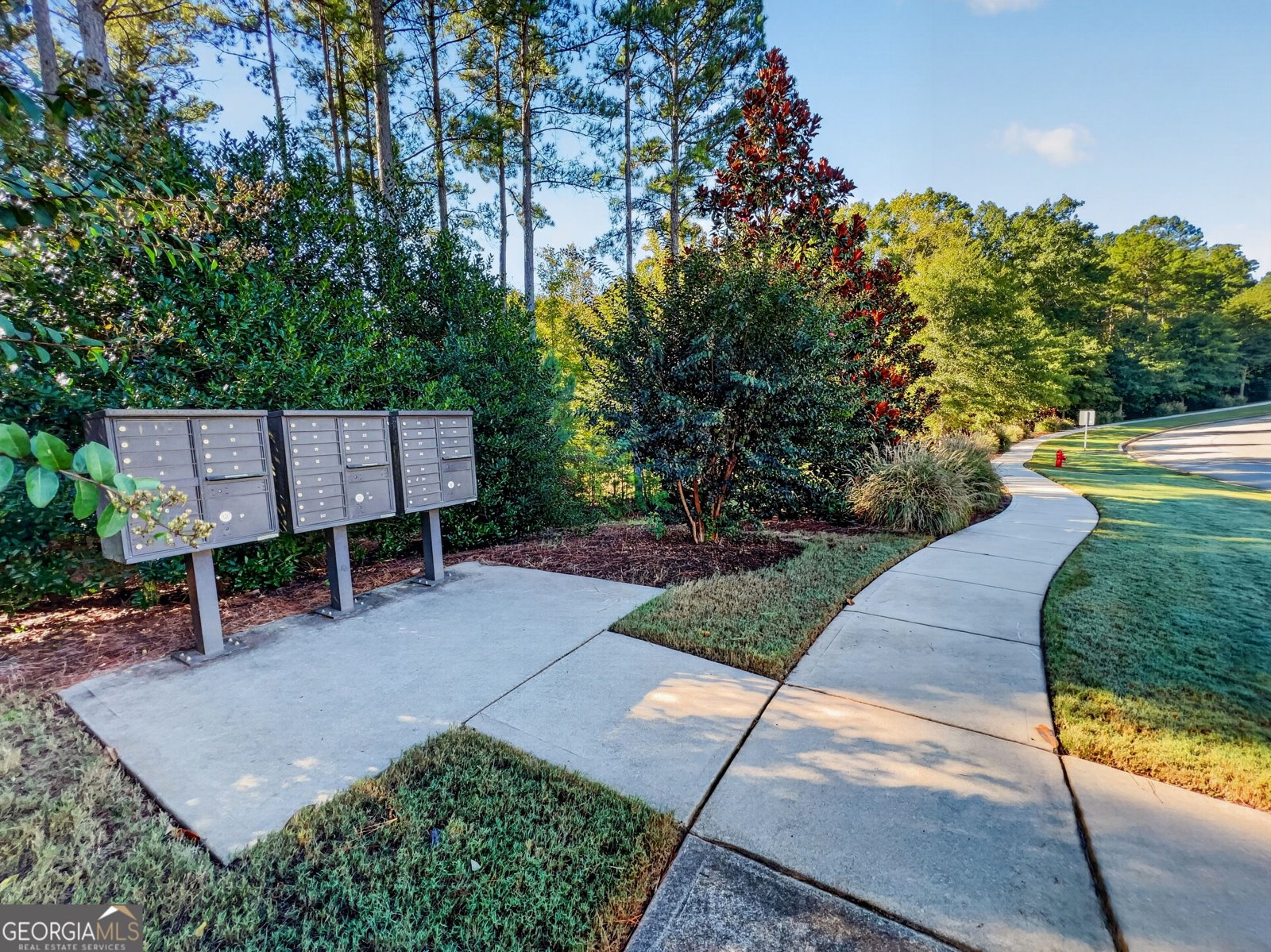 48 Springdale Court Senoia - Photo 48