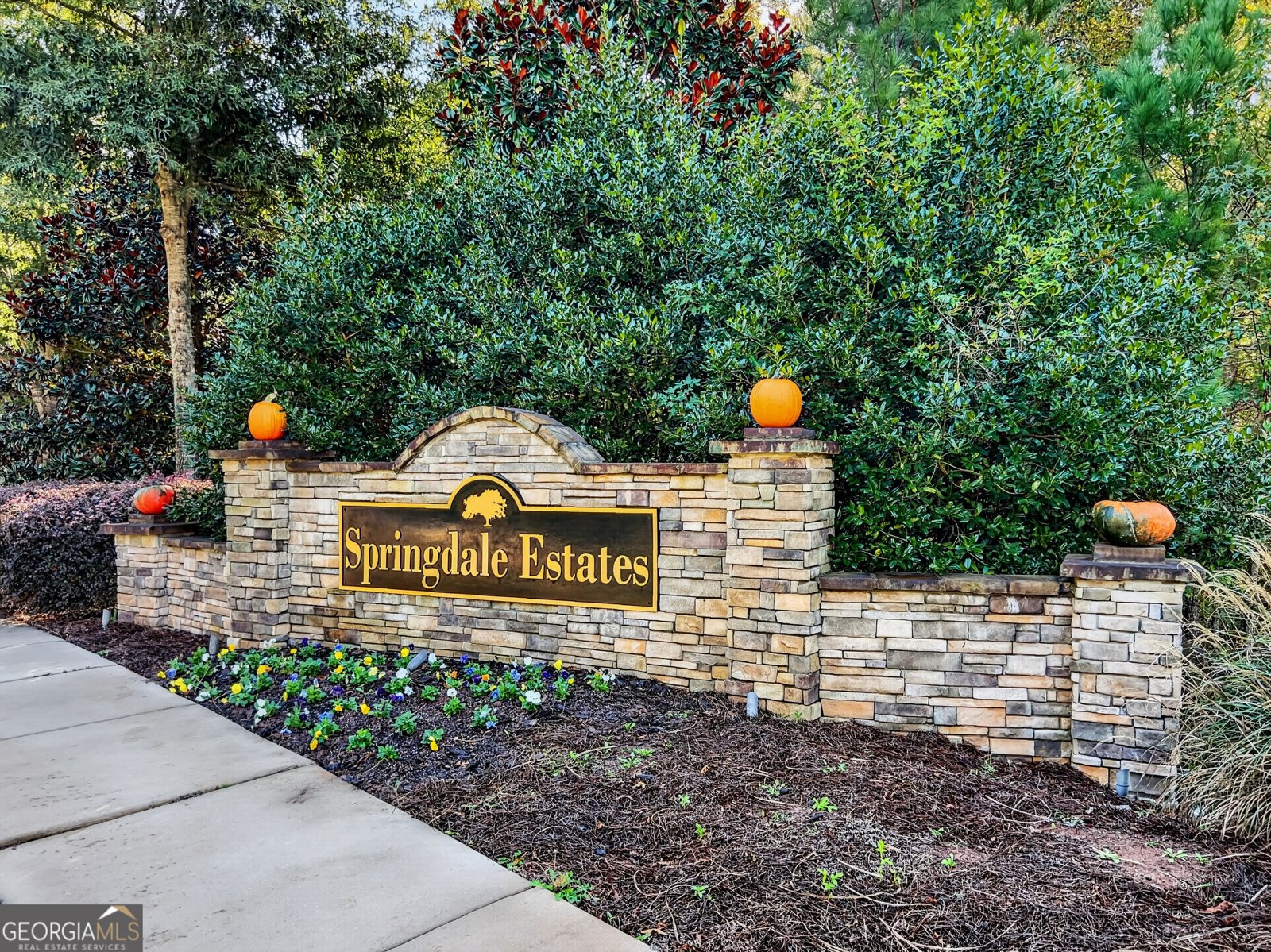 48 Springdale Court Senoia - Photo 49