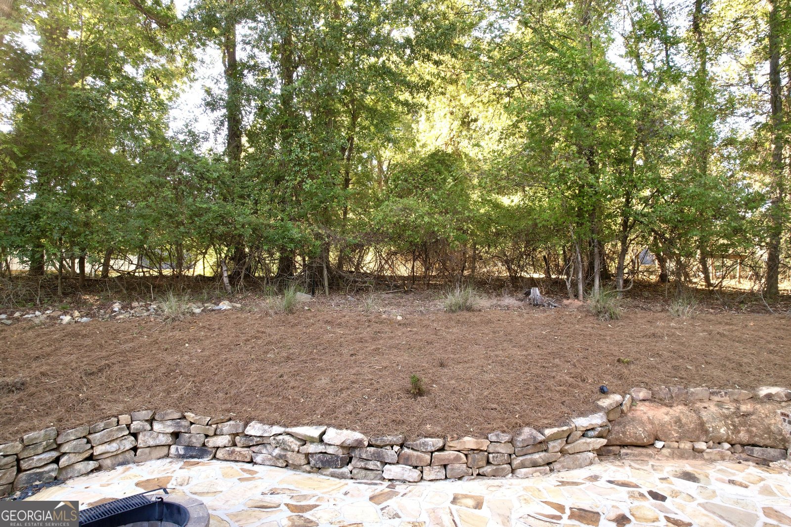 335 Oakleigh Manor Drive Fayetteville - Photo 43