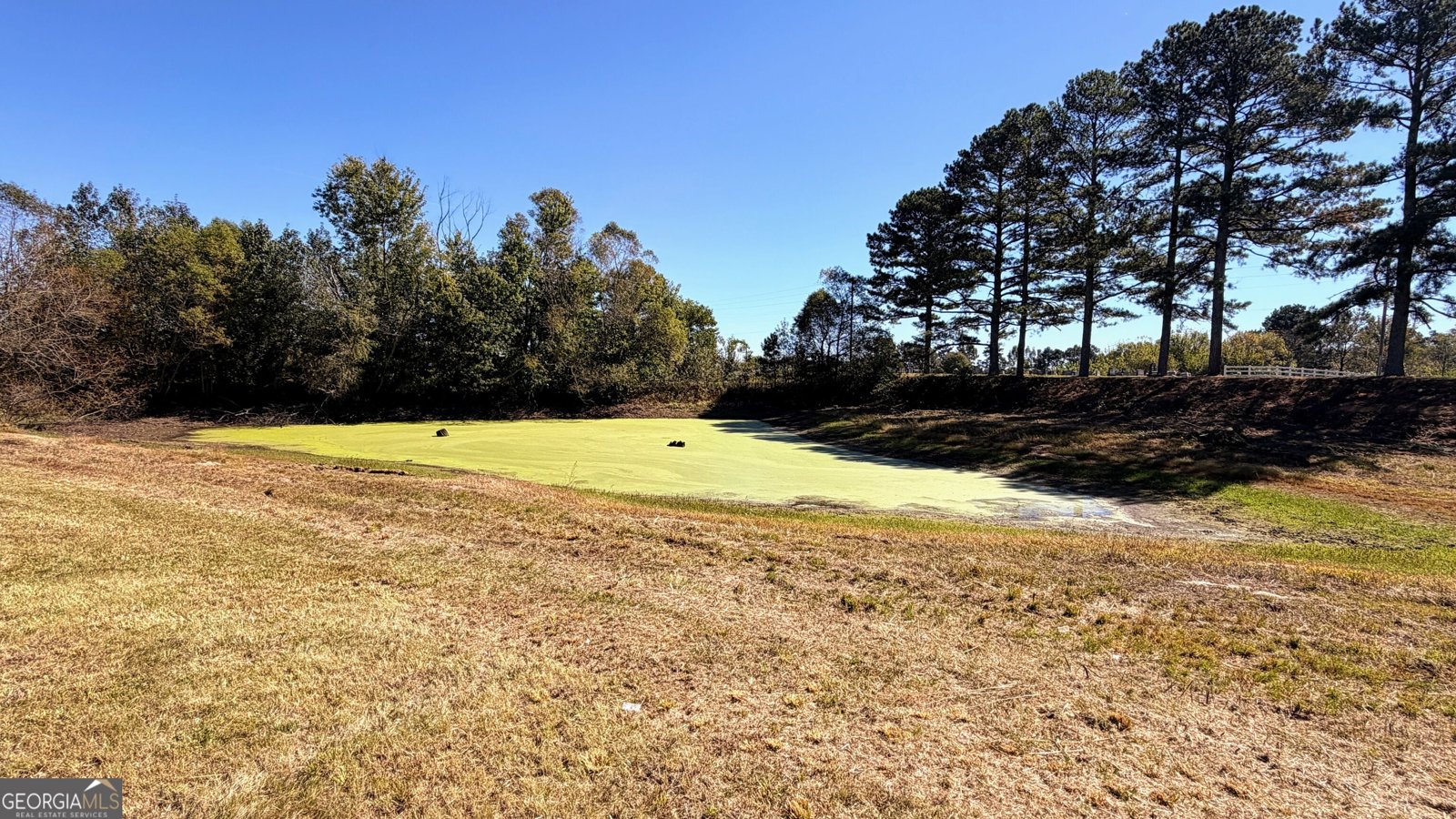 6128 County Road 58 Albertville - Photo 63