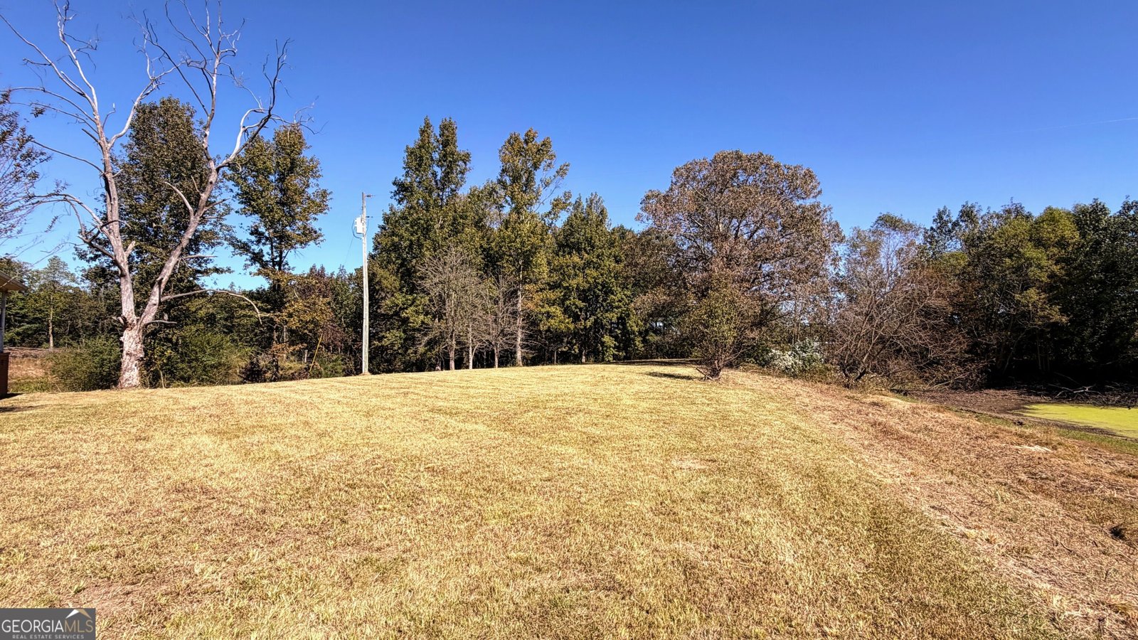 6128 County Road 58 Albertville - Photo 64