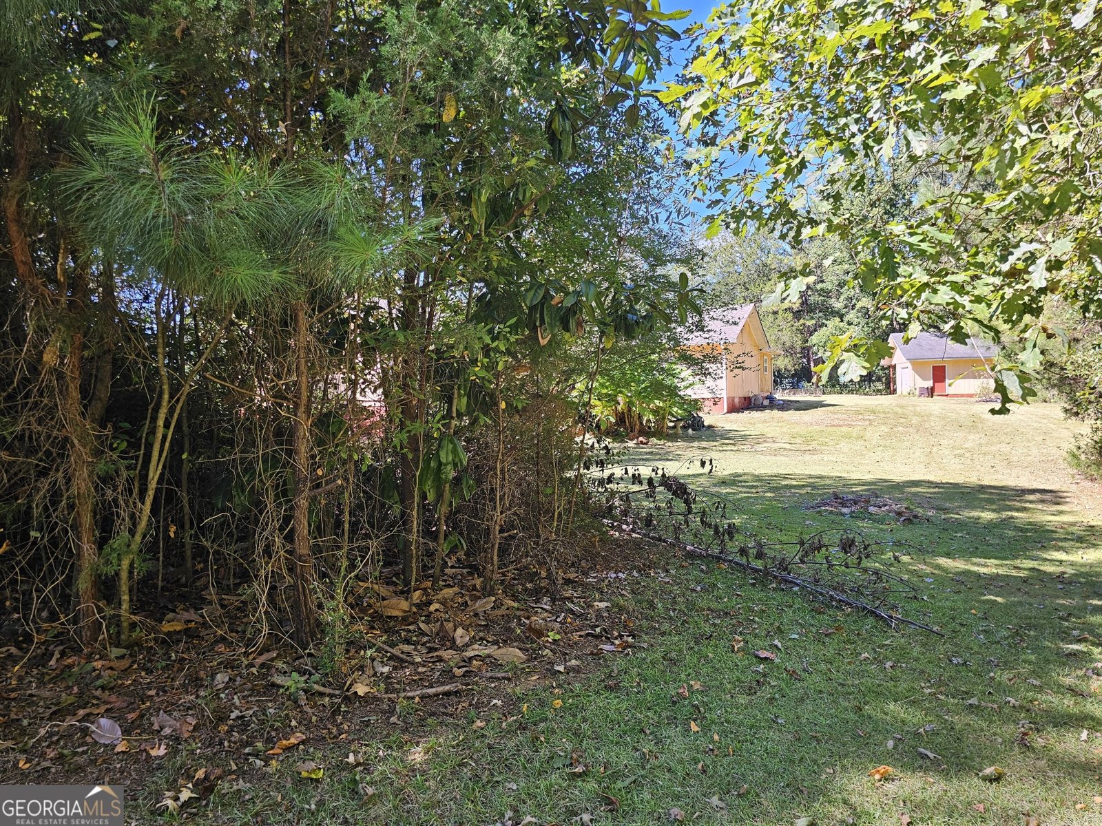 995 Laney Road Locust Grove - Photo 48