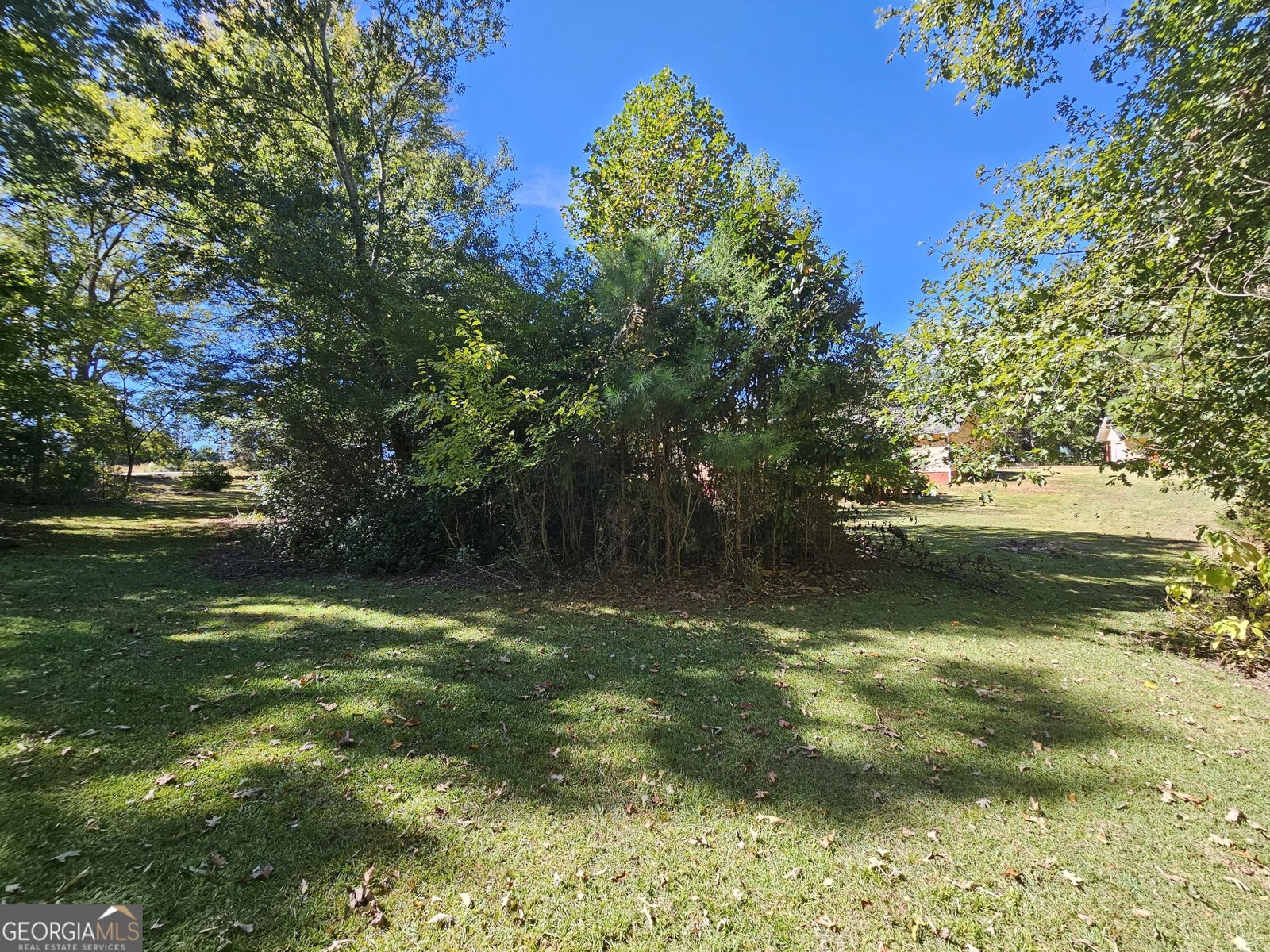 995 Laney Road Locust Grove - Photo 49
