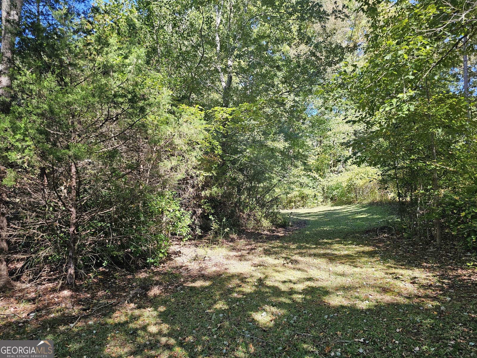 995 Laney Road Locust Grove - Photo 50