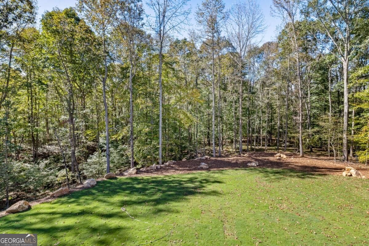 389 Branch Drive Pendergrass - Photo 27