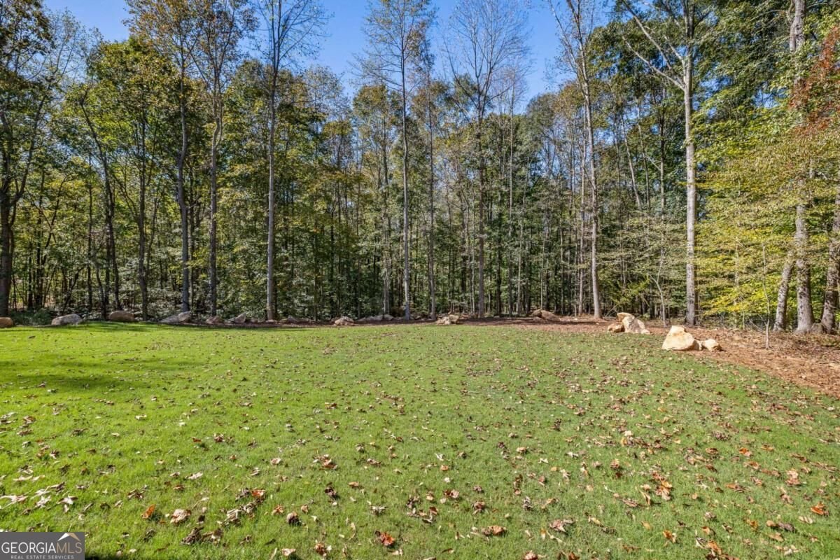 389 Branch Drive Pendergrass - Photo 38