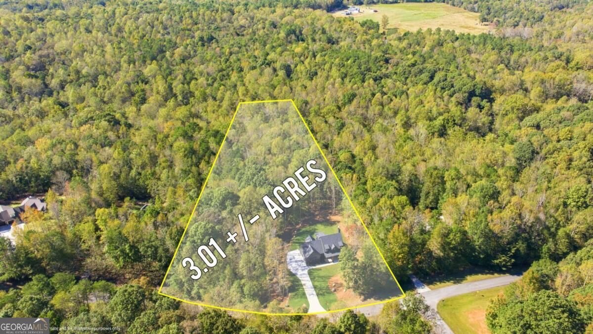 389 Branch Drive Pendergrass - Photo 44
