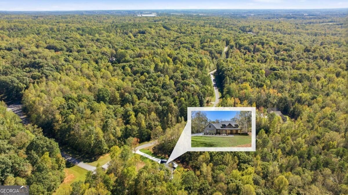 389 Branch Drive Pendergrass - Photo 45