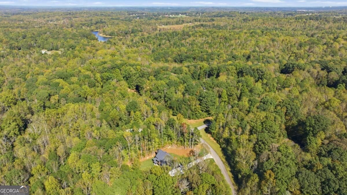 389 Branch Drive Pendergrass - Photo 46