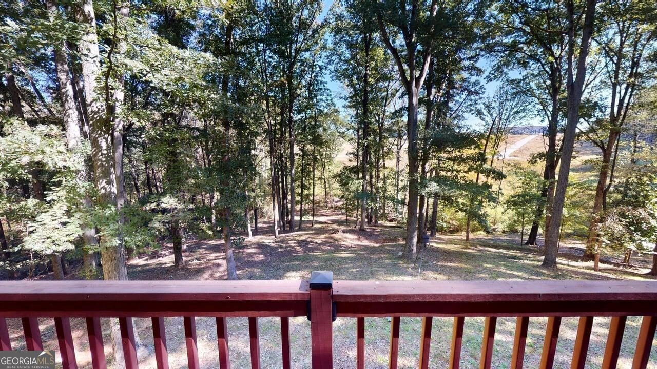 165 Buena Vista Street Winder - Photo 32