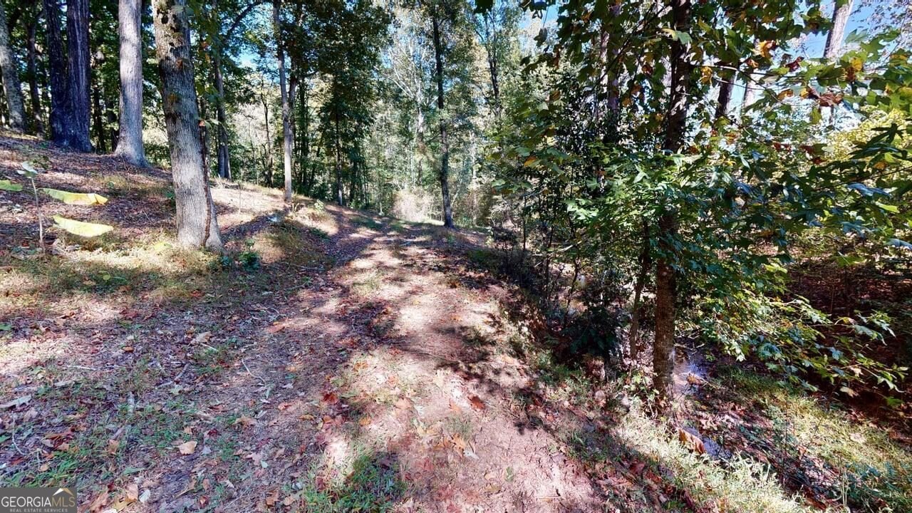 165 Buena Vista Street Winder - Photo 42