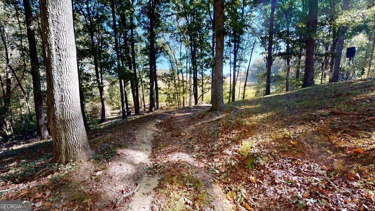 165 Buena Vista Street Winder - Photo 43