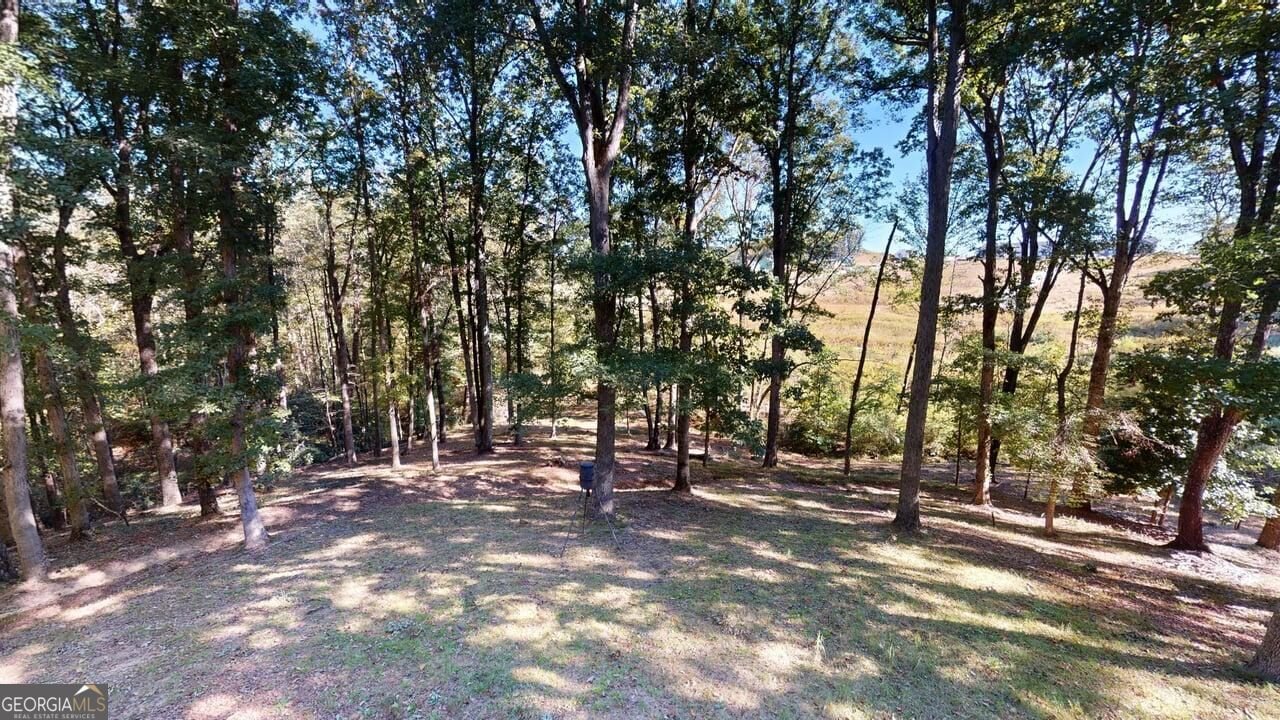 165 Buena Vista Street Winder - Photo 44