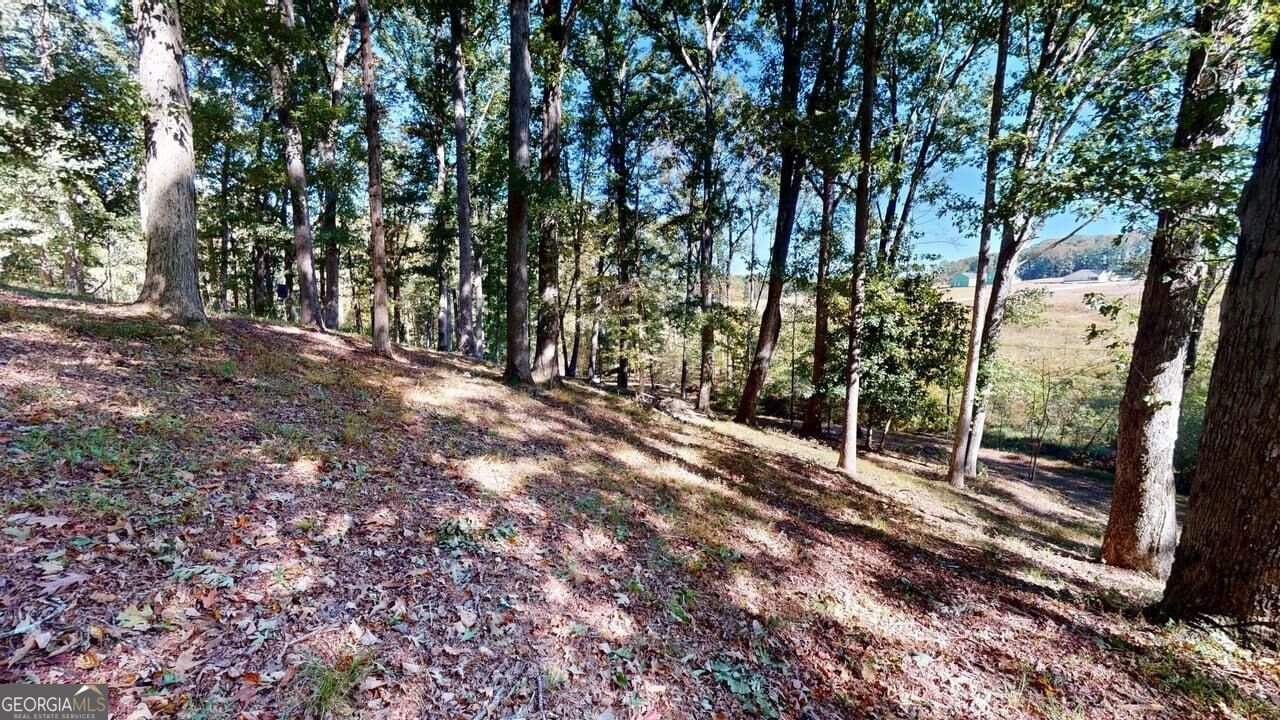 165 Buena Vista Street Winder - Photo 45