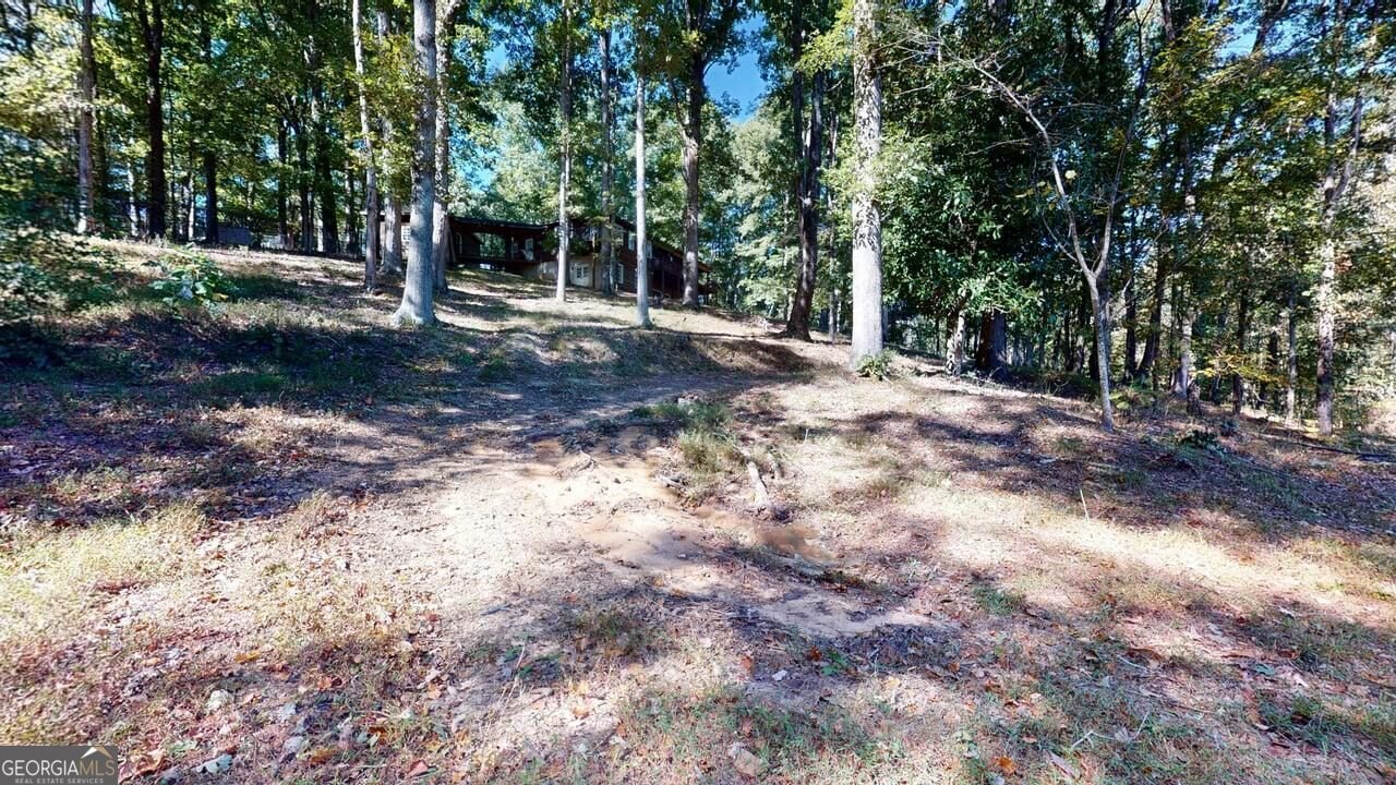 165 Buena Vista Street Winder - Photo 46