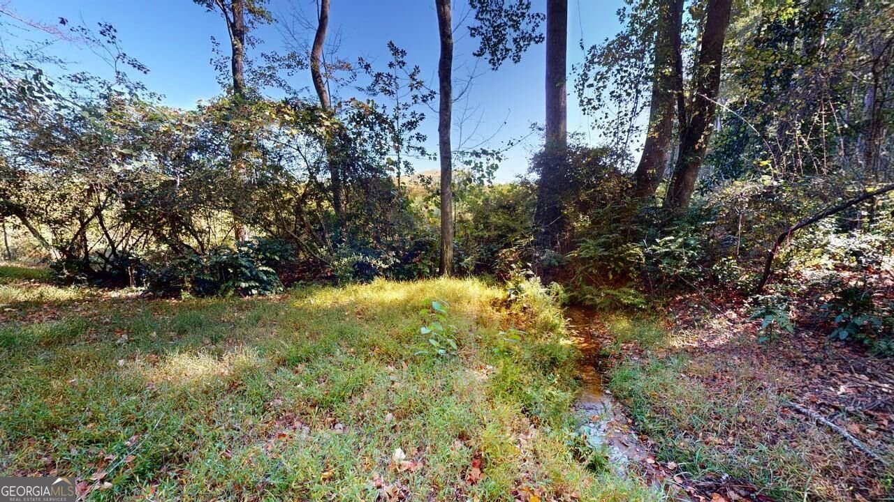 165 Buena Vista Street Winder - Photo 51