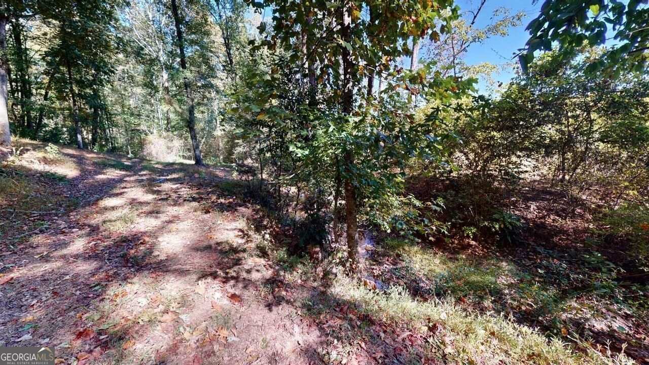 165 Buena Vista Street Winder - Photo 52
