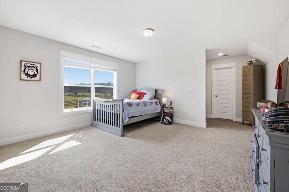 1515 Pleasant Ridge Road Carrollton - Photo 57