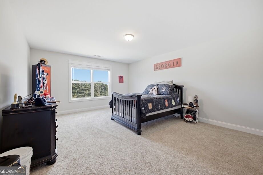1515 Pleasant Ridge Road Carrollton - Photo 62