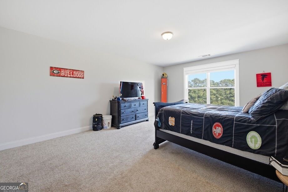1515 Pleasant Ridge Road Carrollton - Photo 63