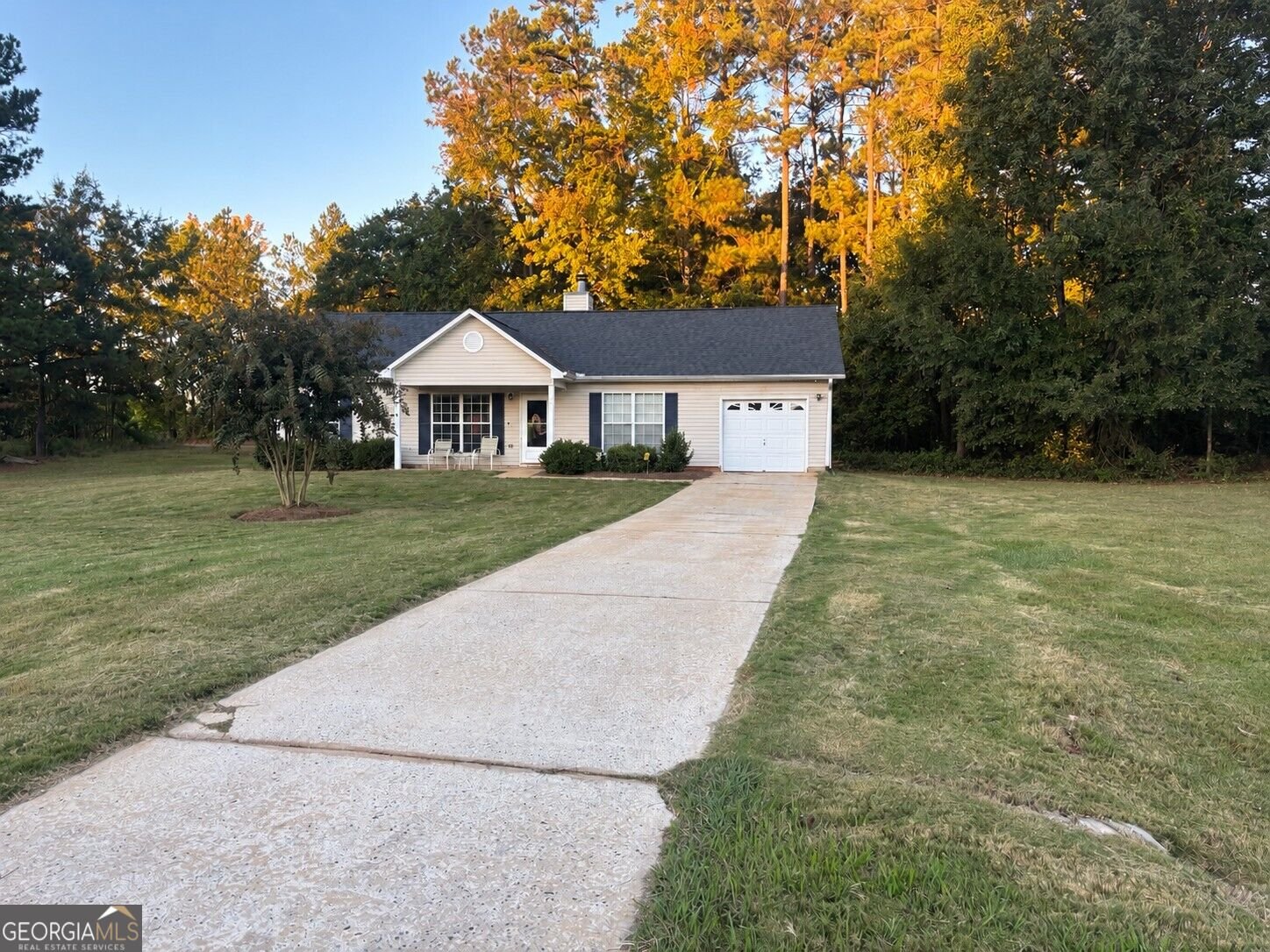 20 Sydney Woods Drive Forsyth - main photo