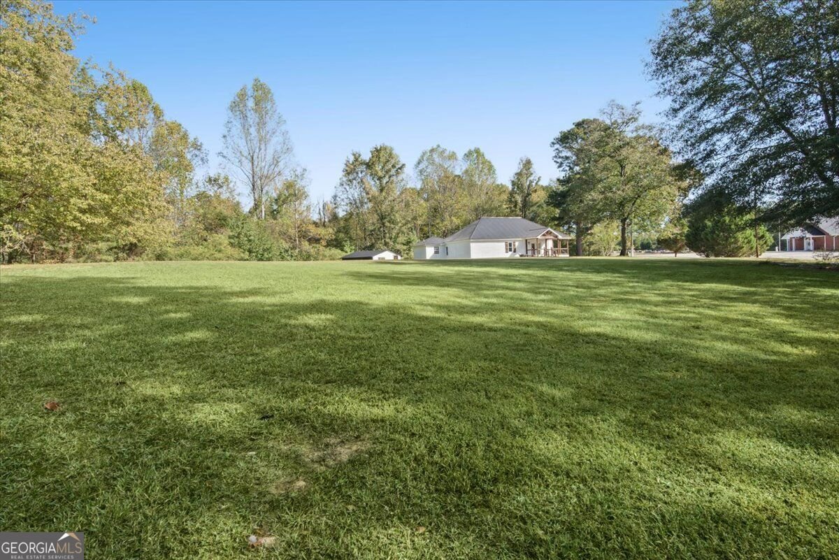 196 Riverside Road Tallapoosa - Photo 58