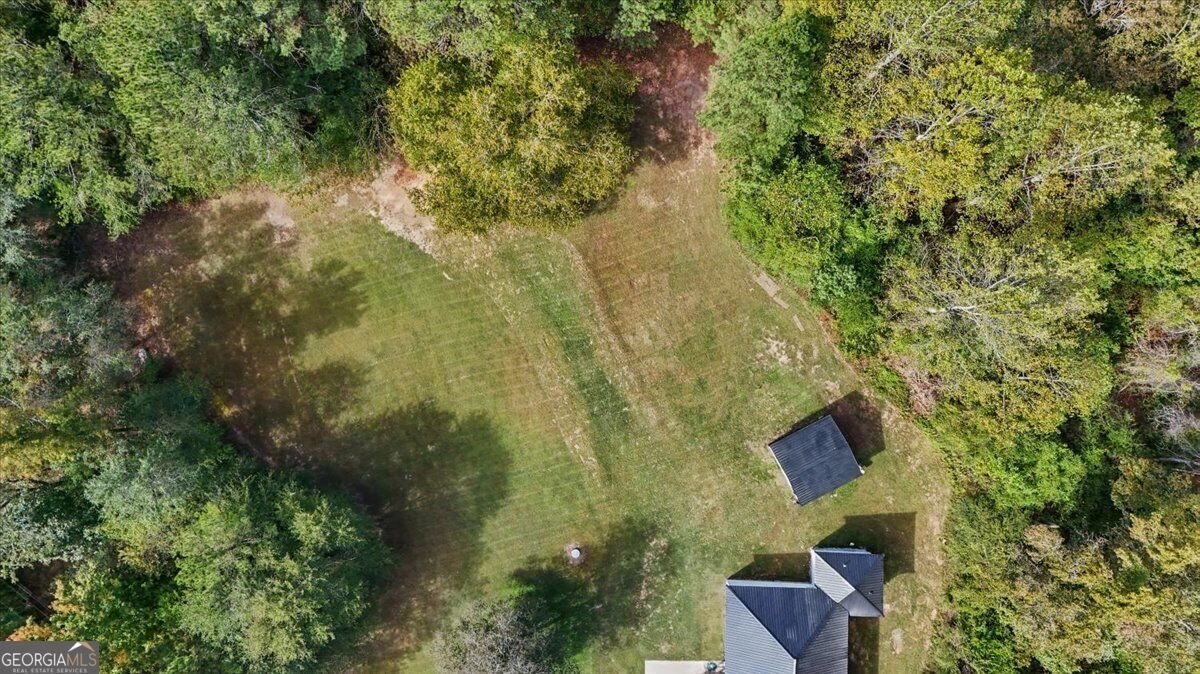 196 Riverside Road Tallapoosa - Photo 59